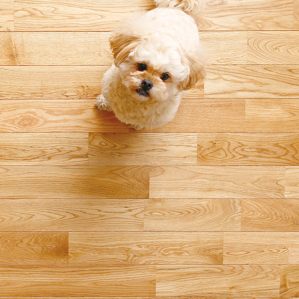 フローリング 塗装